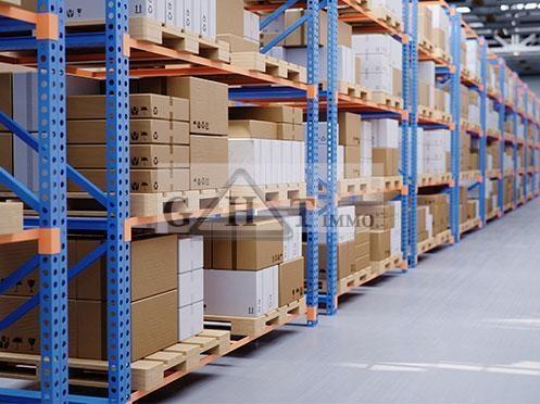 Plus de détails pour Industriel/Logistique à louer