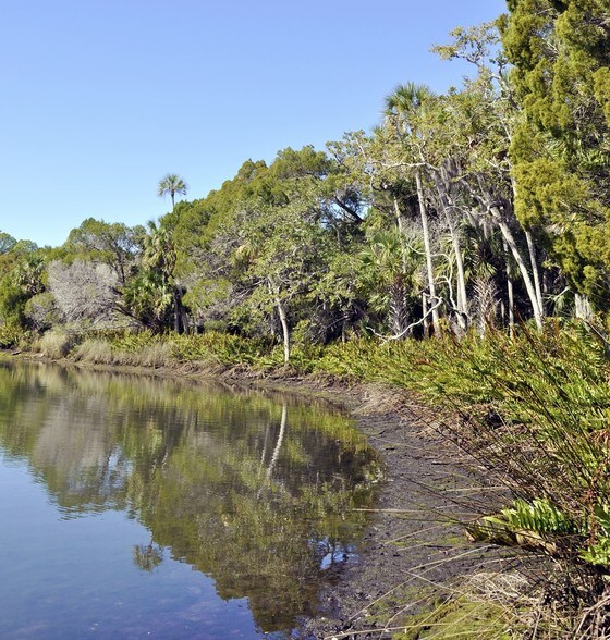 Cortez Blvd & Marys Fish Camp Rd, Weeki Wachee, FL à vendre - Autre – Image 2 sur 15