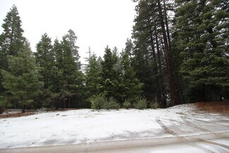 Plus de détails pour 0 Whitefir Dr, Lake Arrowhead, CA - Terrain à vendre