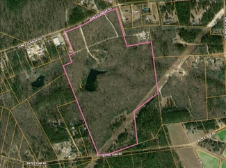 Plus de détails pour 841 James Dunbar Rd, Pelion, SC - Terrain à vendre