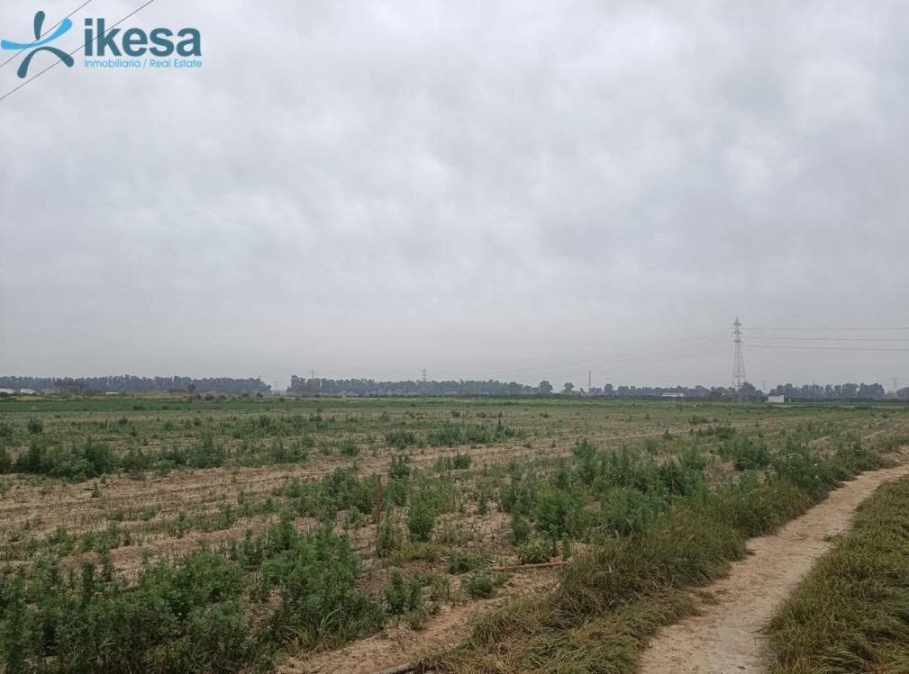 Terrain dans Gelves à vendre Plan de site– Image 1 sur 5