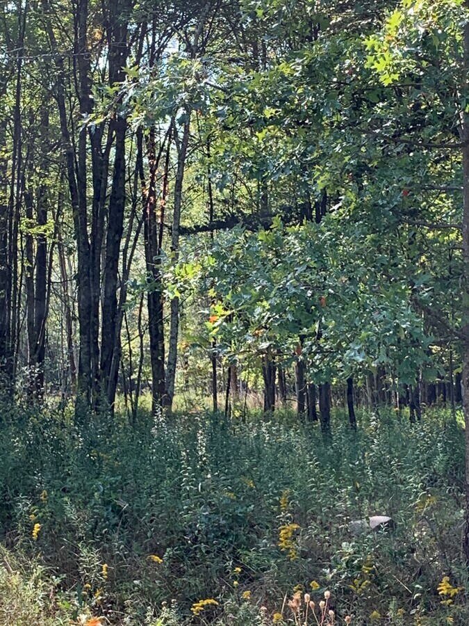 View Photo