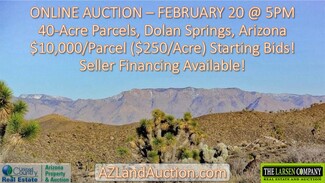 Plus de détails pour XXXXX W 15th Street, Dolan Springs, AZ - Terrain à vendre