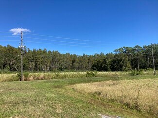 Plus de détails pour 20233 State Road 54, Lutz, FL - Terrain à vendre
