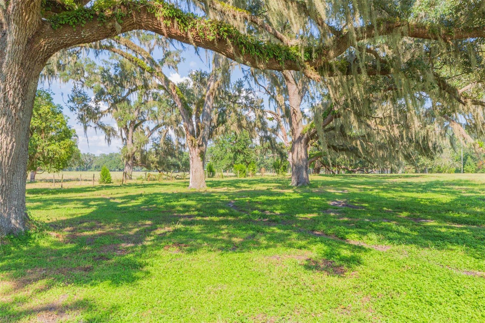 16225 Bellamy Brothers Blvd, Dade City, FL à vendre Photo principale– Image 1 sur 79