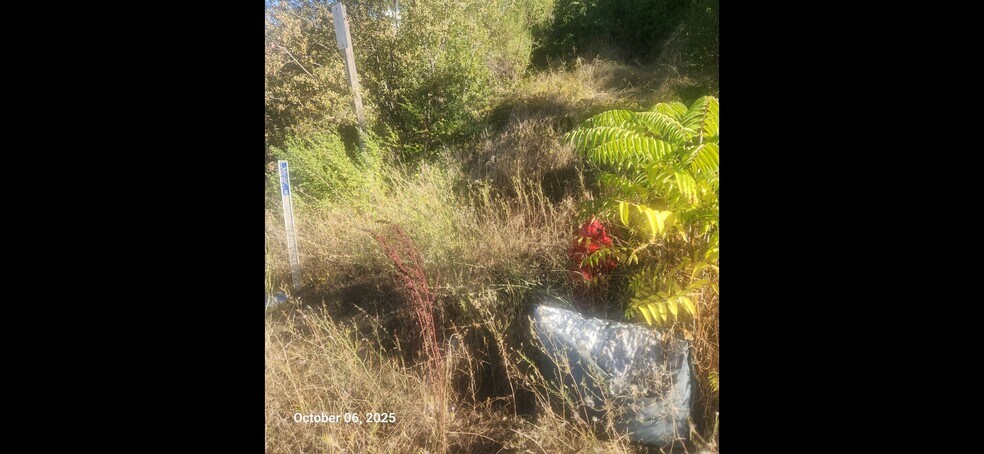 Motherlode Drive Dr, Shingle Springs, CA à vendre - Photo de l’immeuble – Image 3 sur 10