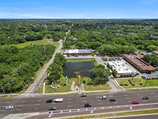 Plus de détails pour 31201 US Highway 19 N, Palm Harbor, FL - Bureau/Médical à louer