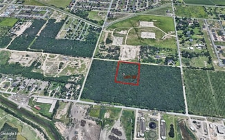 Plus de détails pour 140 Hall Acres Rd, San Juan, TX - Terrain à vendre