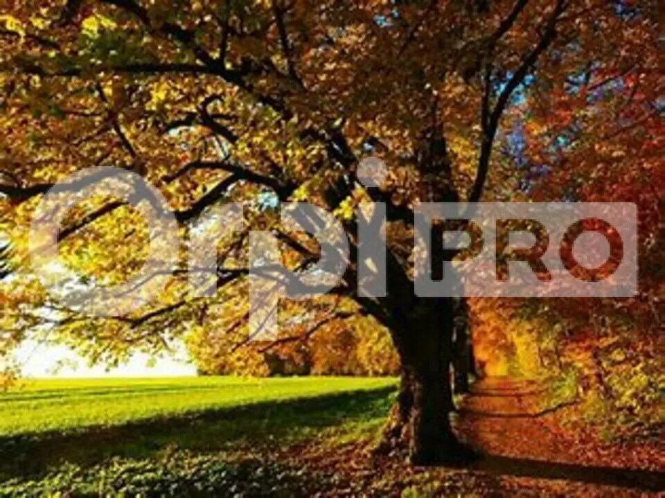 Immeuble residentiel dans Trévoux à vendre Photo principale– Image 1 sur 4