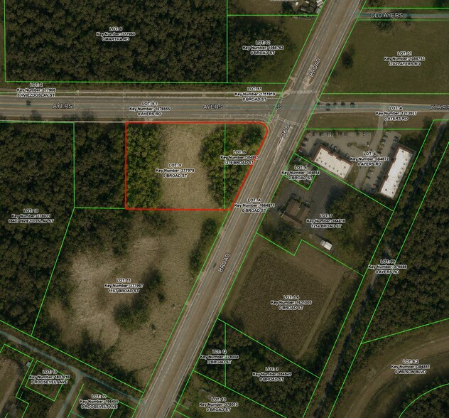 1219 Broad St, Brooksville, FL à vendre - Photo de l’immeuble – Image 2 sur 3