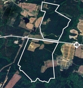 Plus de détails pour I-95 at NC 48, Pleasant Hill, NC - Terrain à vendre