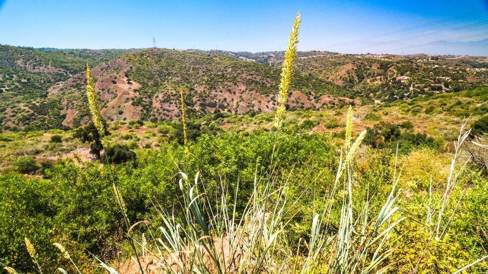 7099 E. Carbon Canyon Rd, Brea, CA à vendre - Photo de l’immeuble – Image 3 sur 21