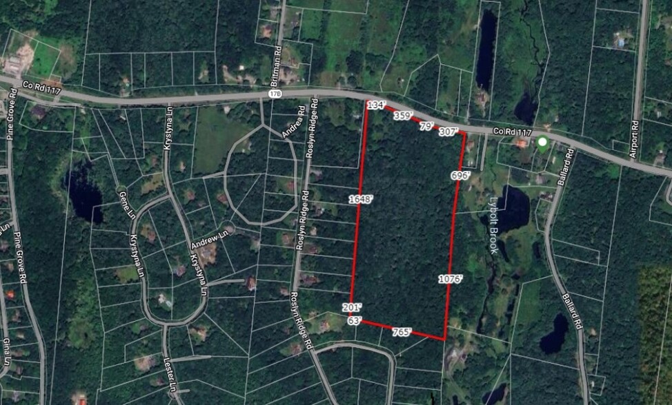 1195 State Route 17B, Bethel, NY à vendre - Plan cadastral – Image 2 sur 30