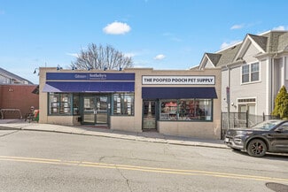 Plus de détails pour 117-119 Savin Hill Ave, Dorchester, MA - Bureau/Local commercial à louer