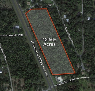 Plus de détails pour 5551 Suncoast blvd, Crystal River, FL - Terrain à vendre