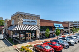 Plus de détails pour 161 E City Ave, Bala Cynwyd, PA - Local commercial à louer