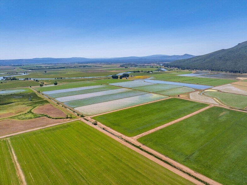 41494 Gomez Rd, Fall River Mills, CA à vendre - Photo de l’immeuble – Image 3 sur 92