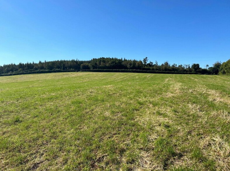 Killyliss Rd, Dungannon à vendre - Aérien – Image 2 sur 3