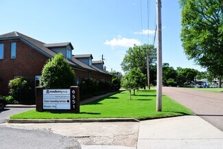 Plus de détails pour 6551 Stage Oaks Dr, Memphis, TN - Bureau à vendre