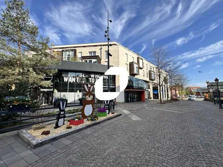 5 Cours De La Décapole, Haguenau à louer - Photo de l’immeuble – Image 3 sur 7