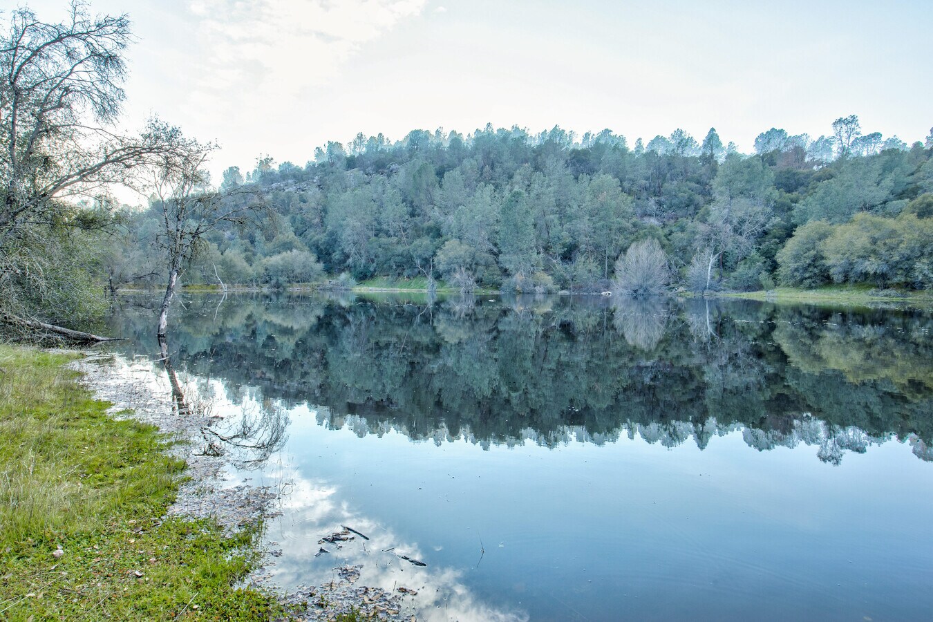 View Photo