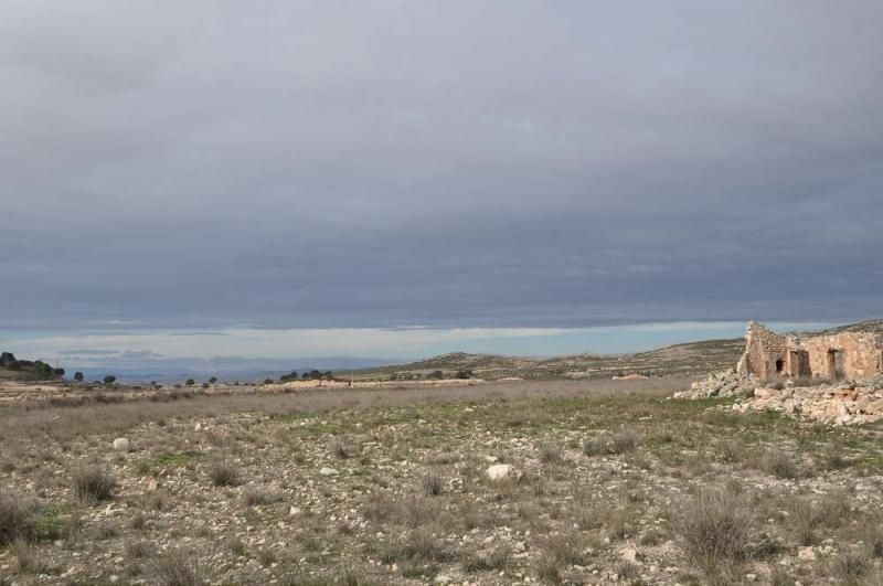 Terrain dans Jumilla, Murcia à vendre - Photo principale – Image 2 sur 8