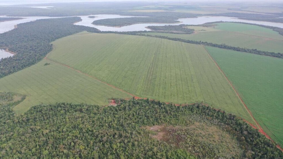 Terrain dans Departamento de Canindeyu-Paraguay, Canindeyu à vendre - Aérien – Image 2 sur 7