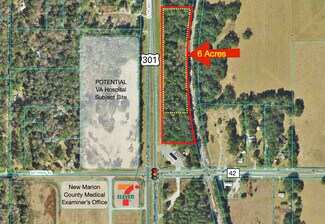 Plus de détails pour 00 Hwy 301, Summerfield, FL - Terrain à vendre