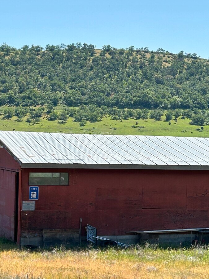 View Photo