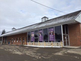 Plus de détails pour 27 Franklin St, Springville, NY - Différents types d’espaces à louer