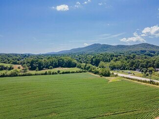 Plus de détails pour 99999 Boylston Hwy, Mills River, NC - Terrain à vendre