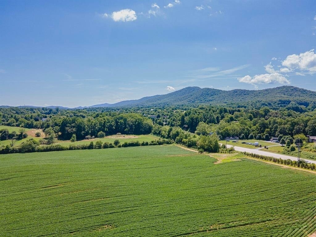 99999 Boylston Hwy, Mills River, NC à vendre Photo principale– Image 1 sur 8
