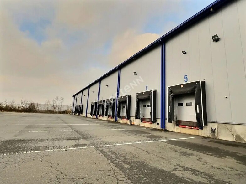 Industriel/Logistique dans Blies-Guersviller à louer - Photo de l’immeuble – Image 3 sur 7