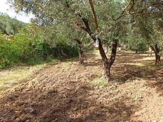 Plus de détails pour Terrain à vendre