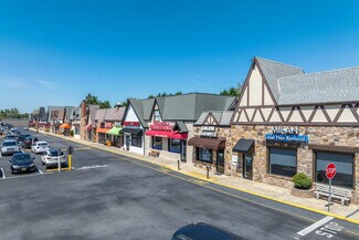 Plus de détails pour 1136-1186 Baltimore Pike, Springfield Township, PA - Local commercial à louer