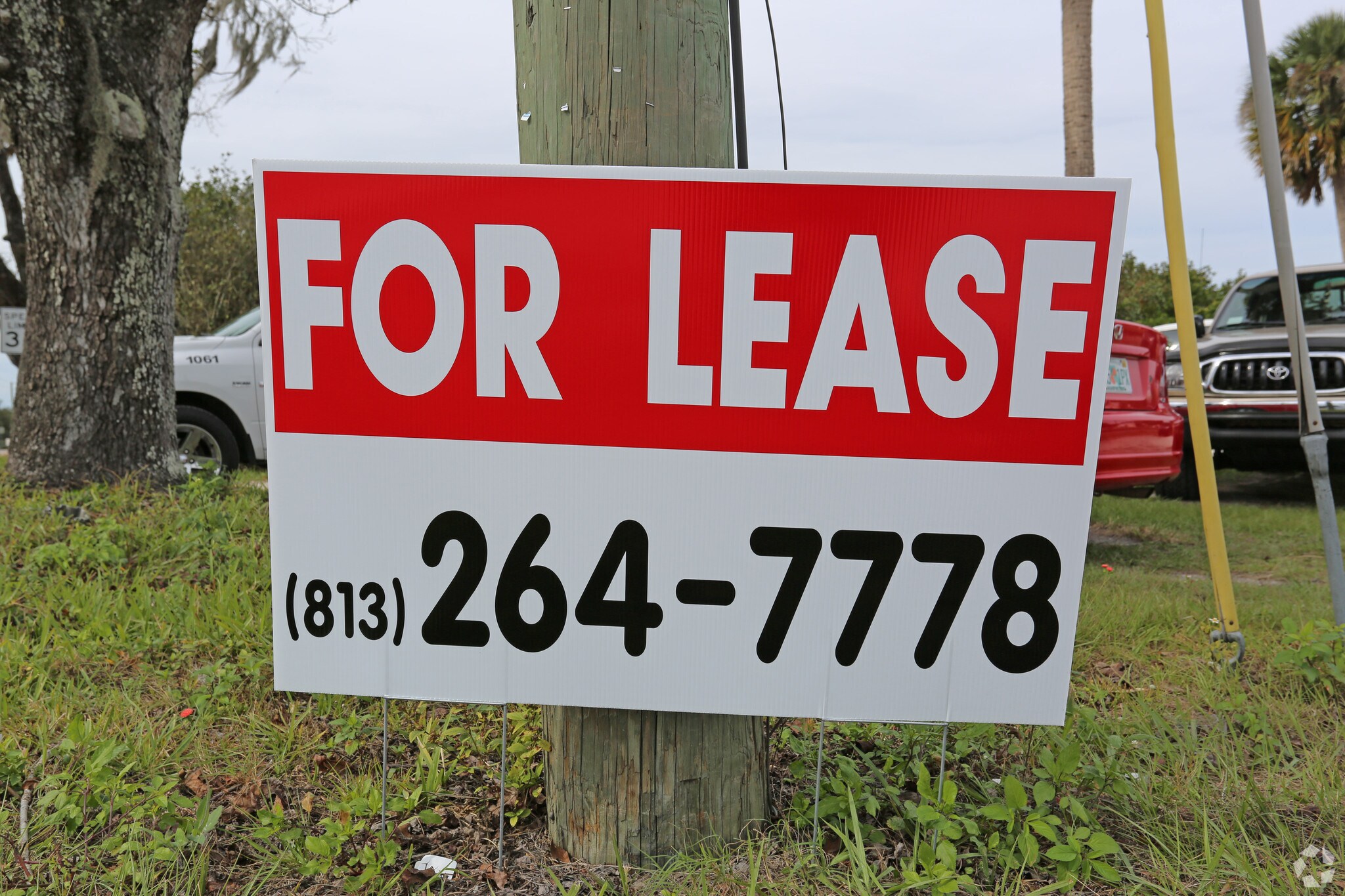 21405 County Line Rd, Lutz, FL à louer Photo de l’immeuble– Image 1 sur 2