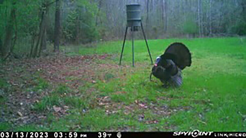 2030 Longwood rd, Columbia, SC à vendre - Photo de l’immeuble – Image 3 sur 7