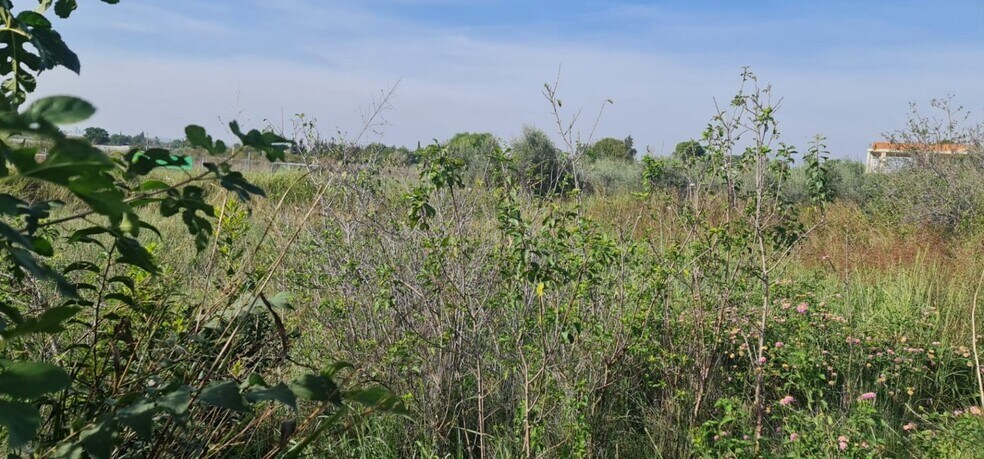 Terrain dans Molina de Segura, Murcia à vendre - Photo de l’immeuble – Image 1 sur 4