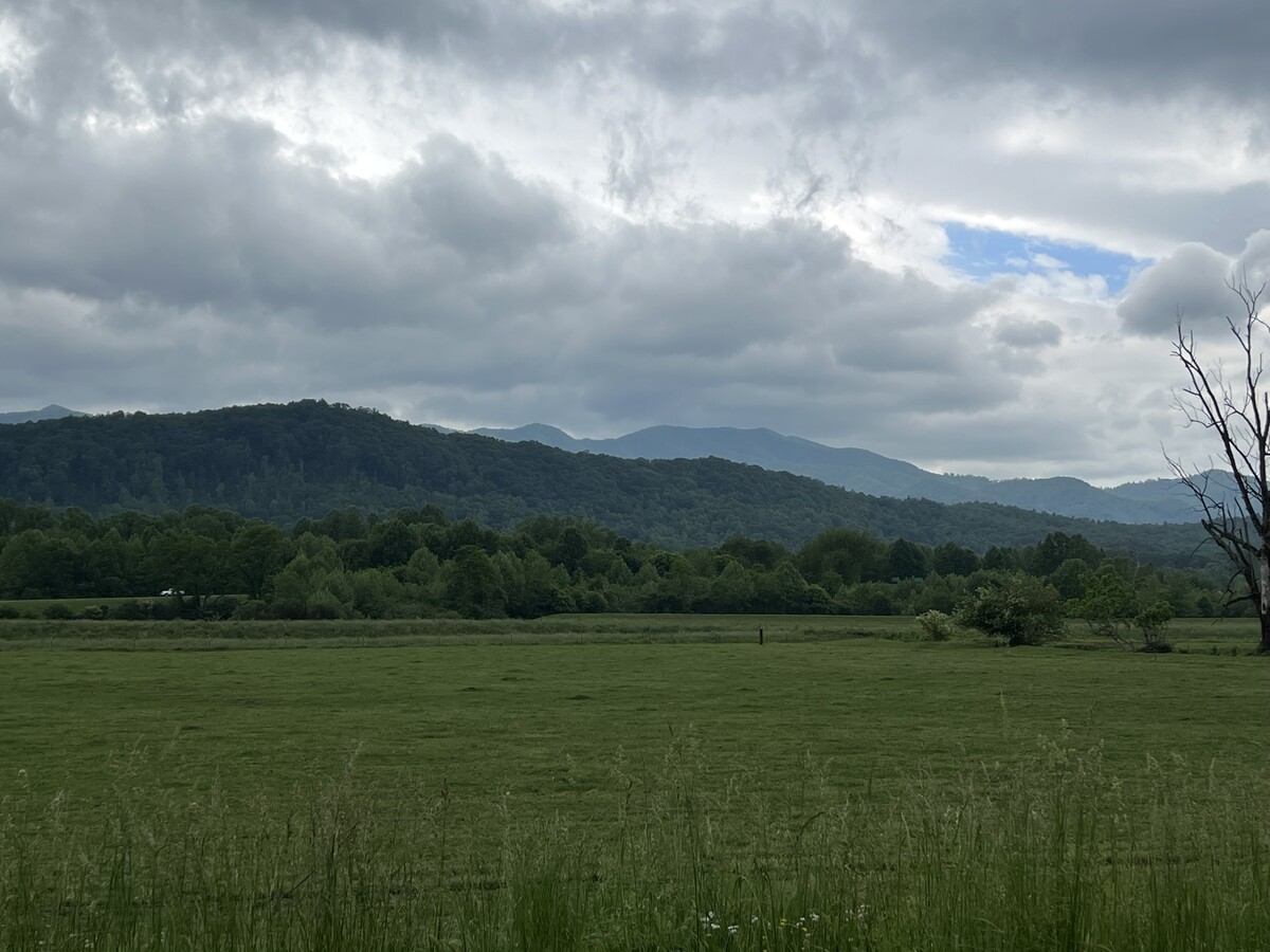 Photo principale