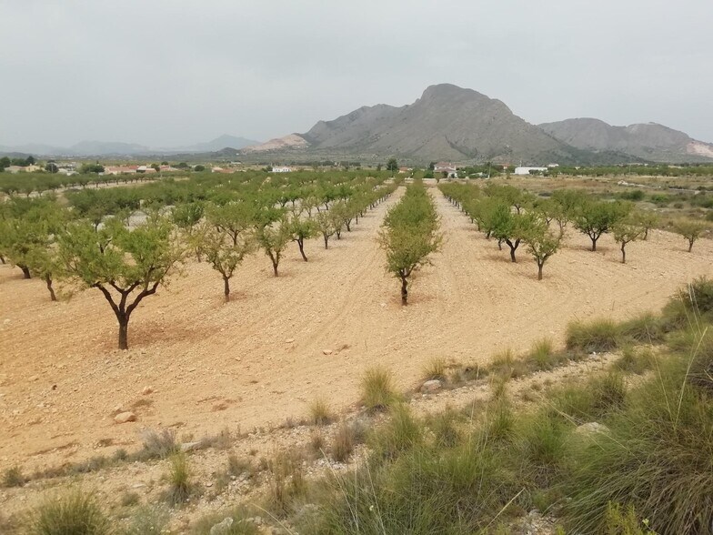 Terrain dans Orihuela, Alicante à vendre - Aérien – Image 2 sur 3