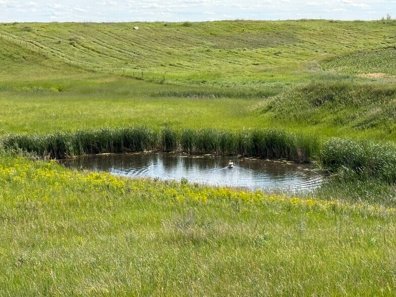 TBD 92nd SE ave, Spiritwood, ND à vendre - Photo de l’immeuble – Image 3 sur 12