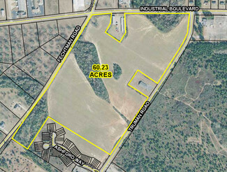 Plus de détails pour Truman Road Rd, Hawkinsville, GA - Terrain à vendre