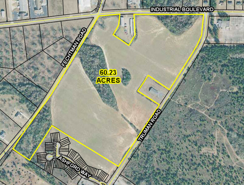 Truman Road Rd, Hawkinsville, GA à vendre - Photo principale – Image 1 sur 2