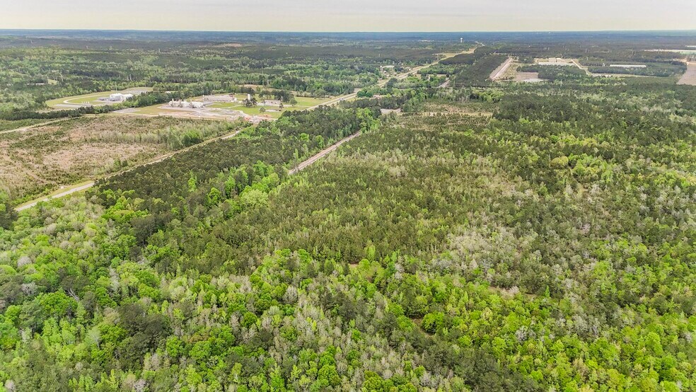 20100 U.S. 43 N., Mount Vernon, AL à vendre - Photo de l’immeuble – Image 3 sur 9