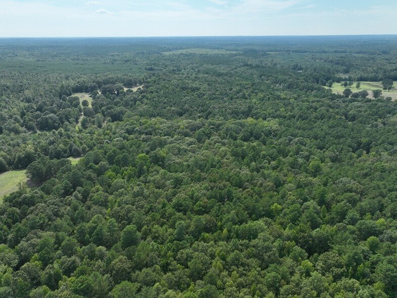 TBD CR 1784 ± 49.11, Jefferson, TX à vendre - Photo de l’immeuble – Image 2 sur 4