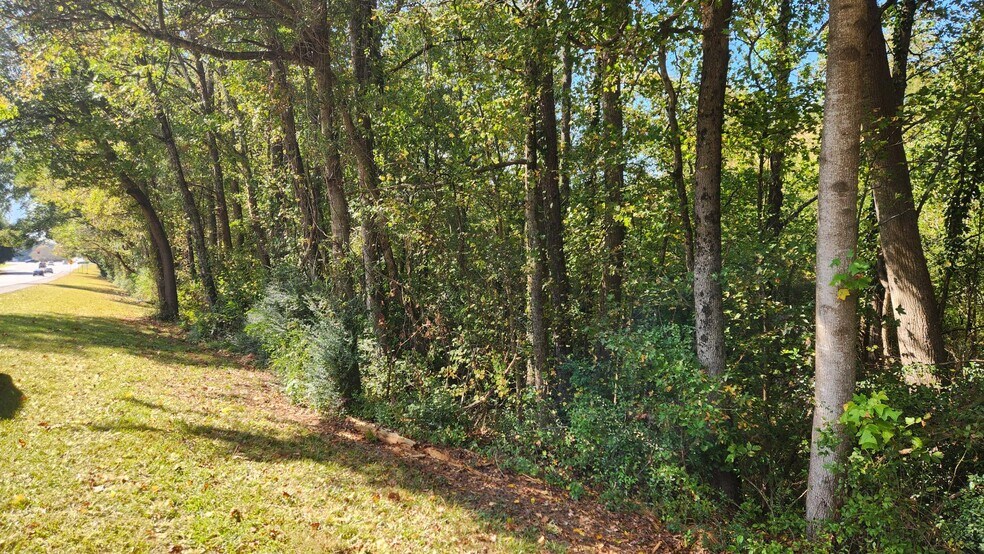 20.69 Acres on Bullsboro Drive Dr, Newnan, GA à vendre - Photo de l’immeuble – Image 2 sur 7