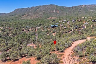 Plus de détails pour W Ruin Hill Loop, Pine, AZ - Terrain à vendre
