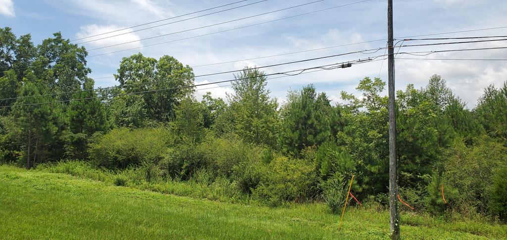 Terrain dans Dothan, AL à vendre Autre– Image 1 sur 7