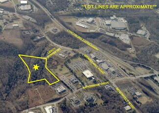 Plus de détails pour 114 Leroy Bowen Dr, Lynchburg, VA - Terrain à vendre