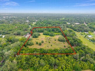 Plus de détails pour TBD S. Highway 301, Summerfield, FL - Terrain à vendre